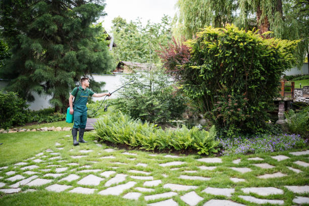 Best Wasp Removal Services  in Brogden, NC