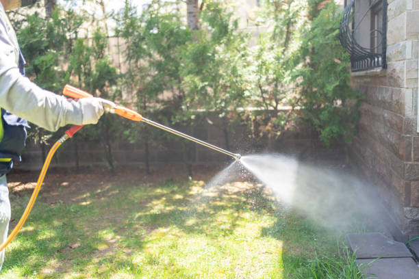 Best Mosquito Control Services  in Brogden, NC