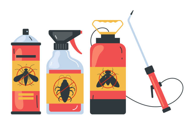 Best Termite Control Services  in Brogden, NC