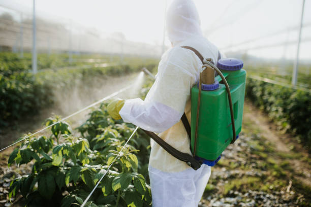 Best Pest Inspection Near Me  in Brogden, NC